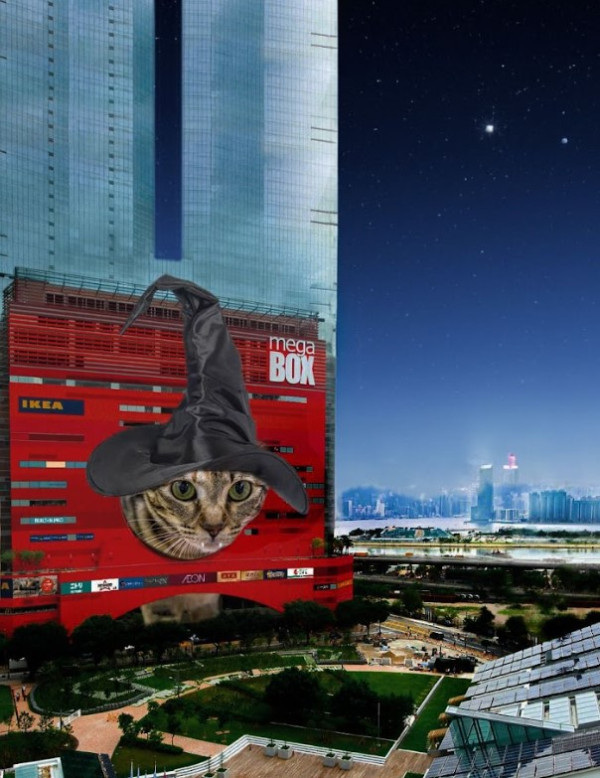 九龍灣MegaBox寵物哈囉喂嘉年華會　寵物家具1折優惠／寵物市集打卡位／助養寵物活動
