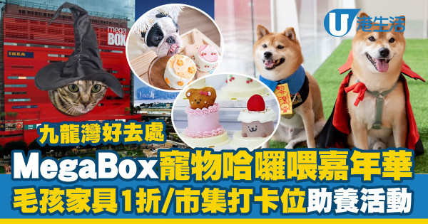九龍灣MegaBox寵物哈囉喂嘉年華會　寵物家具1折優惠／寵物市集打卡位／助養寵物活動