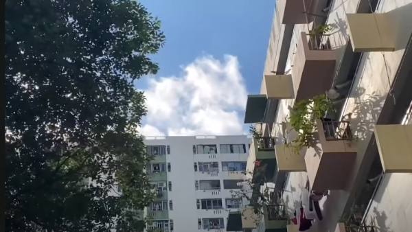 房署：梨木樹二邨帆布簷蓬屬潛建須清拆  商戶：用咗40年