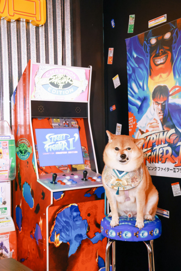 昭和復古場景和食屋 Fusion 甲羅燒薄餅 /  三黃雞香葱炊飯