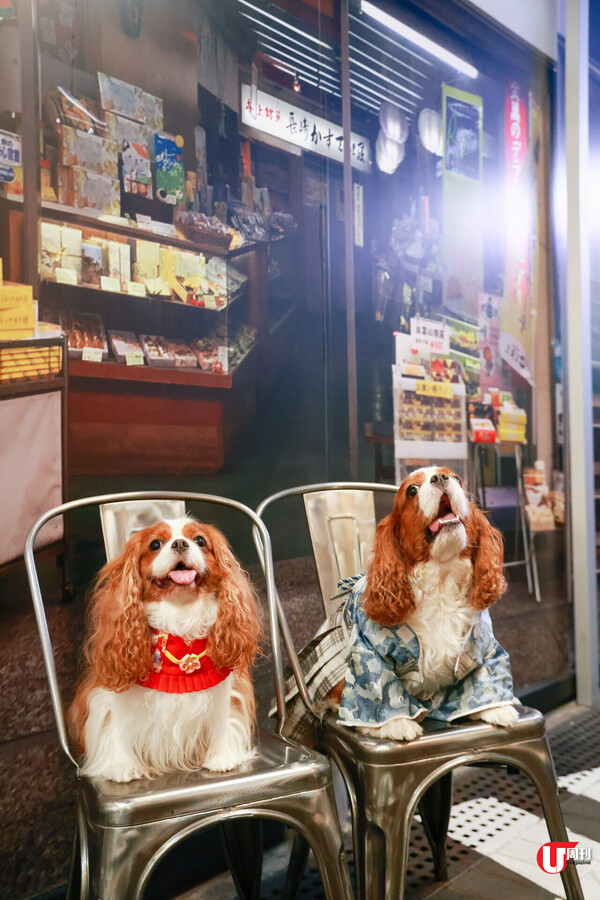 昭和復古場景和食屋 Fusion 甲羅燒薄餅 / 三黃雞香葱炊飯