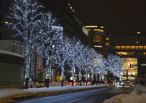 日本聖誕燈飾2023｜北海道札幌白色燈樹節2023  超夢幻雪景配1.5公里彩燈大道 
