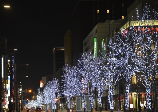 日本聖誕燈飾2023｜北海道札幌白色燈樹節2023  超夢幻雪景配1.5公里彩燈大道 