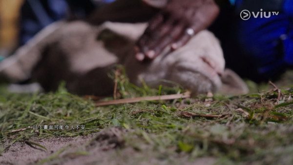 《無制限探險隊》EP4｜Mark導玩命脫去避彈衣內膽  中槍子彈直插腹部需急救 