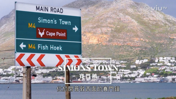 《無制限探險隊》EP10|超嘔心!捉蚊自製非洲劣食食譜 自家製「雙層芝士蚊堡」