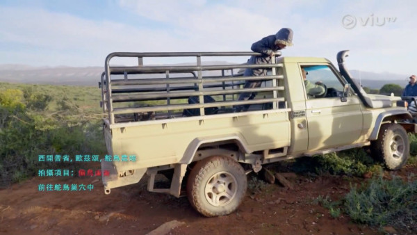 《無制限探險隊》EP6｜Mike導勇悍偷鴕鳥蛋 再上山頂邀南非人大唱獅子山下 