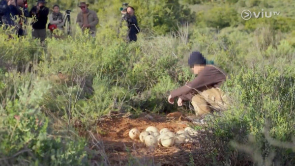《無制限探險隊》EP6｜Mike導勇悍偷鴕鳥蛋 再上山頂邀南非人大唱獅子山下 