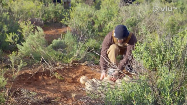 《無制限探險隊》EP6｜Mike導勇悍偷鴕鳥蛋 再上山頂邀南非人大唱獅子山下 