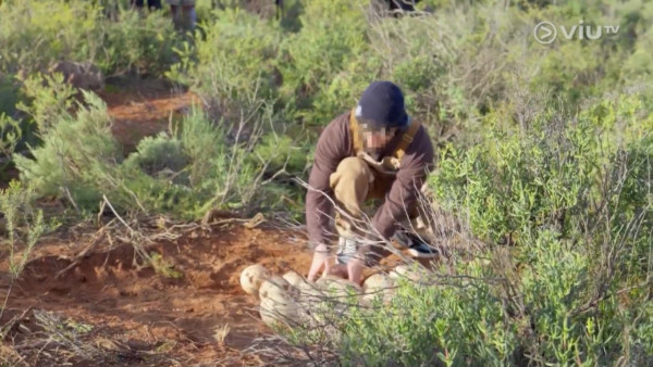 《無制限探險隊》EP6｜Mike導勇悍偷鴕鳥蛋 再上山頂邀南非人大唱獅子山下 
