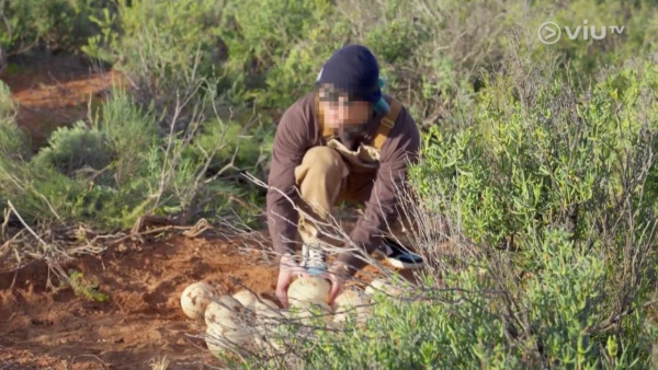 《無制限探險隊》EP6｜Mike導勇悍偷鴕鳥蛋 再上山頂邀南非人大唱獅子山下 