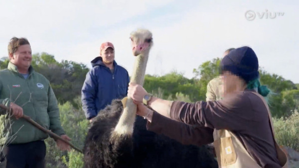 《無制限探險隊》EP10|超嘔心!捉蚊自製非洲劣食食譜 自家製「雙層芝士蚊堡」