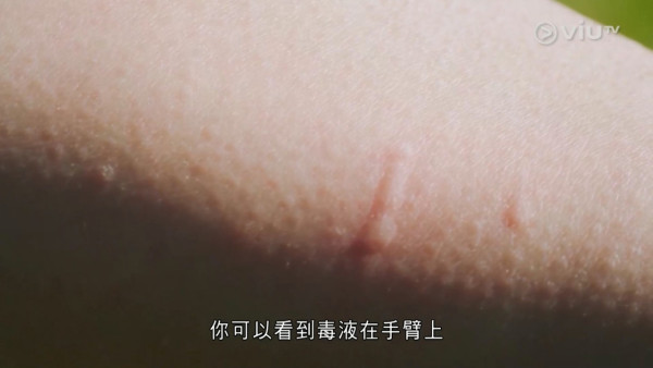 《無制限探險隊》EP6｜Mike導勇悍偷鴕鳥蛋 再上山頂邀南非人大唱獅子山下 