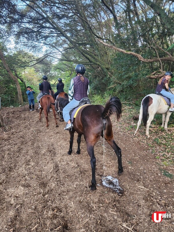 韓國旅遊｜濟州動感之旅 上「馬」下海 騎馬睇野花田、大海360迴旋、輕鬆獨木舟、安全版綑邊、叉電森林浴 