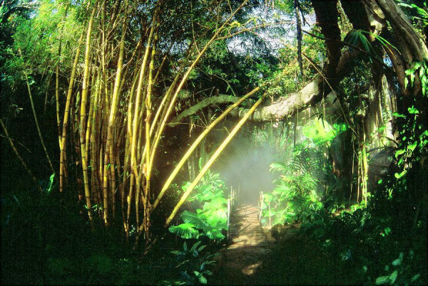 深圳親子好去處｜逾15大最新深圳好去處小朋友放電推介 室內動物園／滑雪場／遊樂場／附深圳親子酒店／兒童牙科 