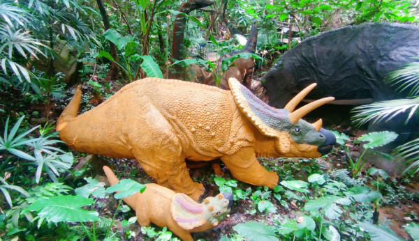 深圳親子好去處｜逾15大最新深圳好去處小朋友放電推介 室內動物園／滑雪場／遊樂場／附深圳親子酒店／兒童牙科 