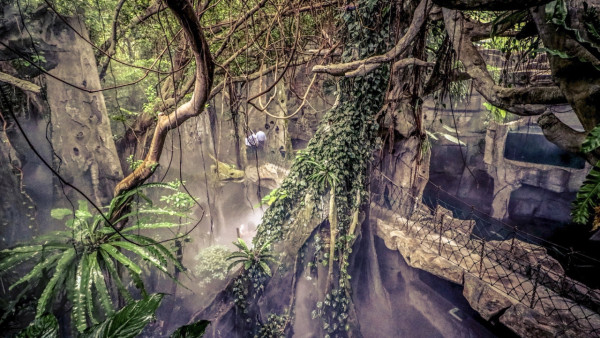 深圳親子好去處｜逾15大最新深圳好去處小朋友放電推介 室內動物園／滑雪場／遊樂場／附深圳親子酒店／兒童牙科 