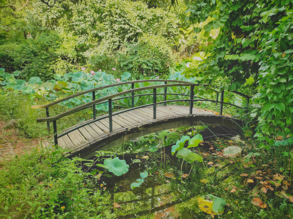 深圳親子好去處｜逾15大最新深圳好去處小朋友放電推介 室內動物園／滑雪場／遊樂場／附深圳親子酒店／兒童牙科 