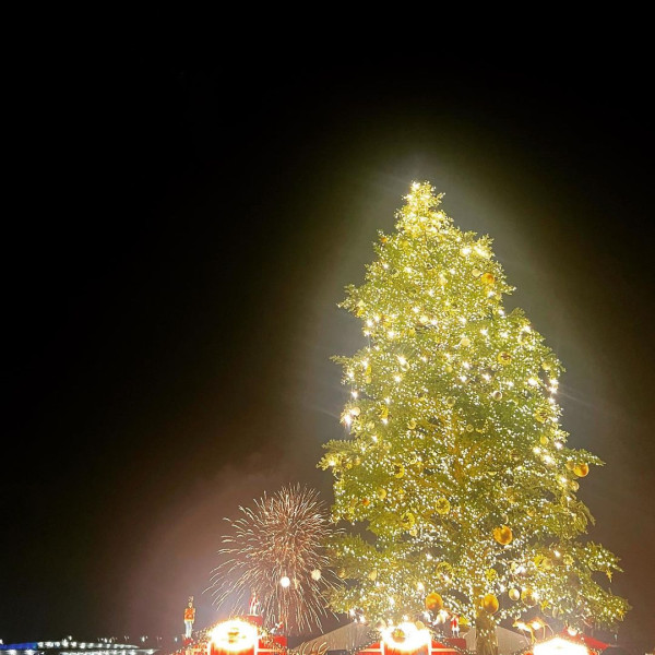 日本聖誕2023｜橫濱紅磚倉庫聖誕市集  近50個攤位／10米高聖誕樹／彩燈花園 