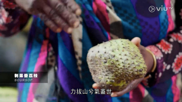 《無制限探險隊》EP10|超嘔心!捉蚊自製非洲劣食食譜 自家製「雙層芝士蚊堡」