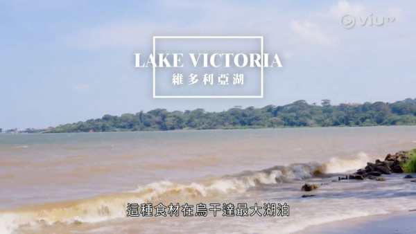 《無制限探險隊》EP10|超嘔心!捉蚊自製非洲劣食食譜 自家製「雙層芝士蚊堡」