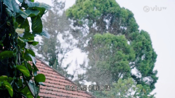 《無制限探險隊》EP10|超嘔心!捉蚊自製非洲劣食食譜 自家製「雙層芝士蚊堡」