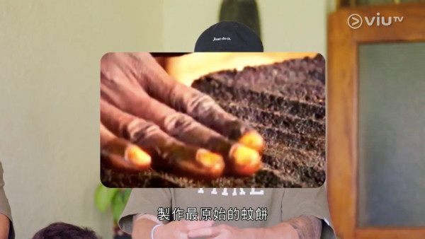 《無制限探險隊》EP10|超嘔心!捉蚊自製非洲劣食食譜 自家製「雙層芝士蚊堡」