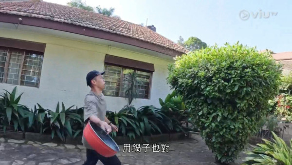 《無制限探險隊》EP10|超嘔心!捉蚊自製非洲劣食食譜 自家製「雙層芝士蚊堡」