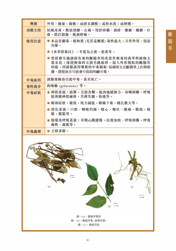 5人飲「五指毛桃湯」後嘔吐腹瀉 揭誤食斷腸草引致中毒