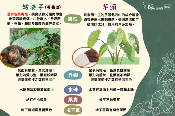 酒店吃炒飯突然刺痛吞嚥困難 驚揭碟上鋪墊有毒葉片／7招肉眼分辨毒葉