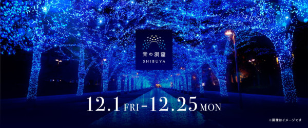 東京澀谷代代木人氣冬日點燈活動「青之洞窟」77萬顆燈泡+首個聖誕市集登場 超夢幻！ 