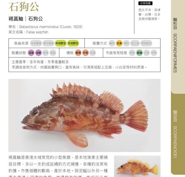 《香港街市海魚圖鑑》作者黎諾維 去魚市場開課   教你揀魚／劏魚／食魚文化