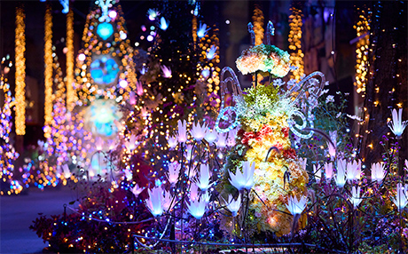 大阪聖誕燈飾2023｜4大必去關西聖誕燈飾景點 大阪城點燈／環球影城／光之遊樂園 