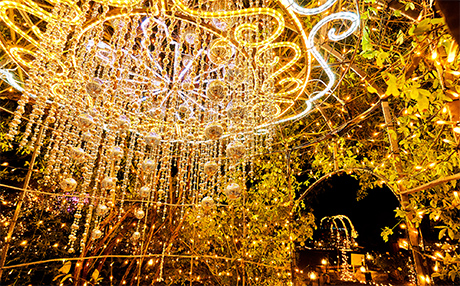 大阪聖誕燈飾2023｜4大必去關西聖誕燈飾景點 大阪城點燈／環球影城／光之遊樂園 
