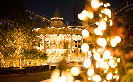 日本聖誕燈飾2023｜大阪聖誕燈飾枚方公園「光之遊樂園」  7大區域／花卉主題／13米巨型聖誕樹 