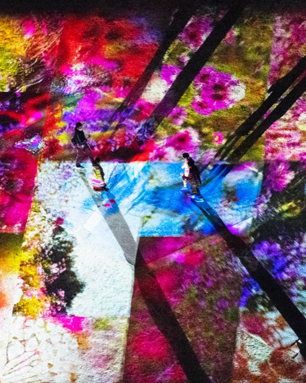 蜷川實花史上最大規模個展「瞬間的永恆」12月東京登場！多個絕美打卡位+沉浸式互動藝術空間 