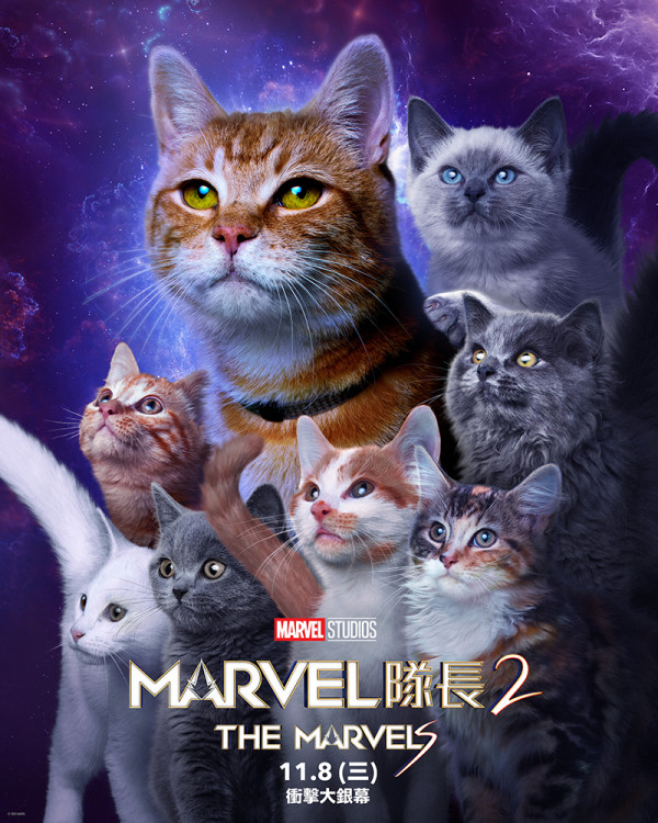 Marvel隊長2｜演員禁宣傳只能出動貓貓攻勢 Marvel隊長1個原因從不與貓同場演出