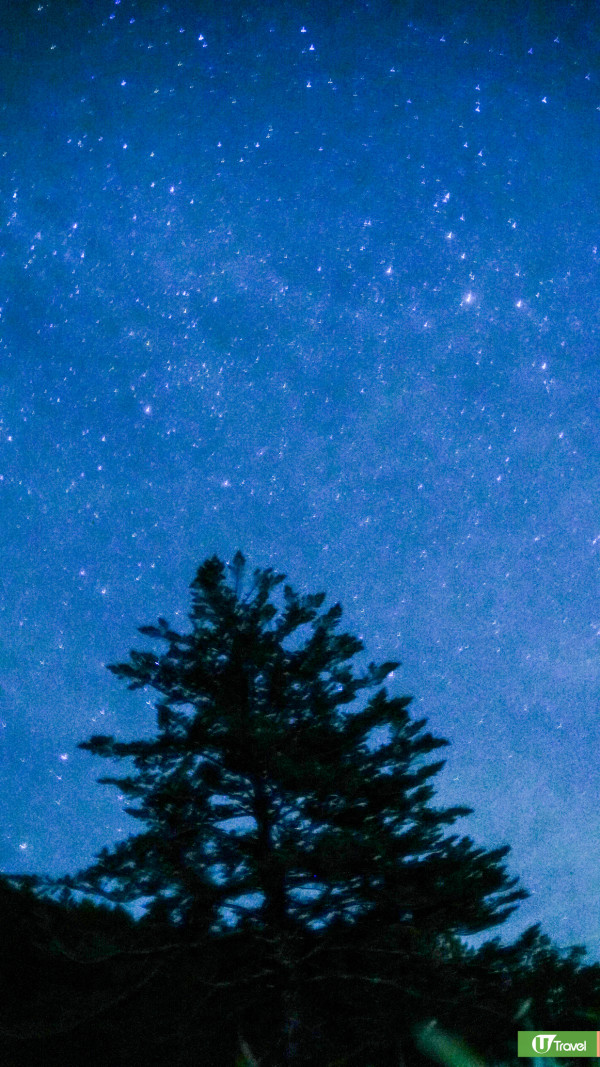 名古屋自由行15大市區近郊景點+住宿攻略附7天行程！星空教堂/日本最大級度假村/打卡秘景 