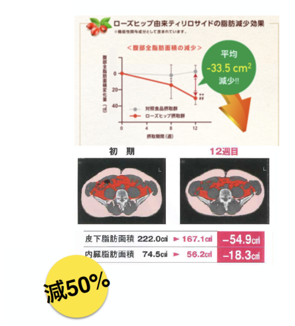 殺脂神器森下仁丹2回殺脂 全年至抵優惠  天然草本無副作用 無藥性 不反彈