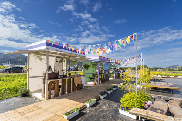 台灣旅遊｜台中國際花毯節2023開鑼！夢幻漂浮城堡花卉／4公頃向日葵花海 