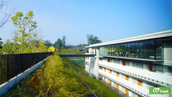 名古屋自由行15大市區近郊景點+住宿攻略附7天行程！星空教堂/日本最大級度假村/打卡秘景 