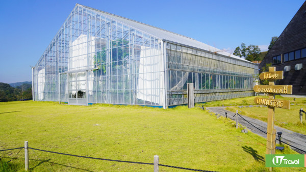 名古屋自由行15大市區近郊景點+住宿攻略附7天行程！星空教堂/日本最大級度假村/打卡秘景 