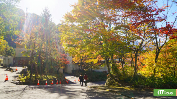【HK Express優惠機票】長者機票起加0包20K行李托運 24個目的地任飛65+老友記專享 