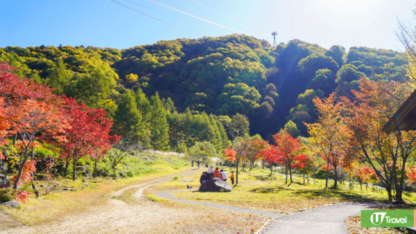 【HK Express優惠機票】長者機票起加0包20K行李托運 24個目的地任飛65+老友記專享 