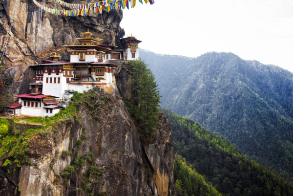 不丹宣佈為全國流浪狗結紥　全世界第一國最先達成目標