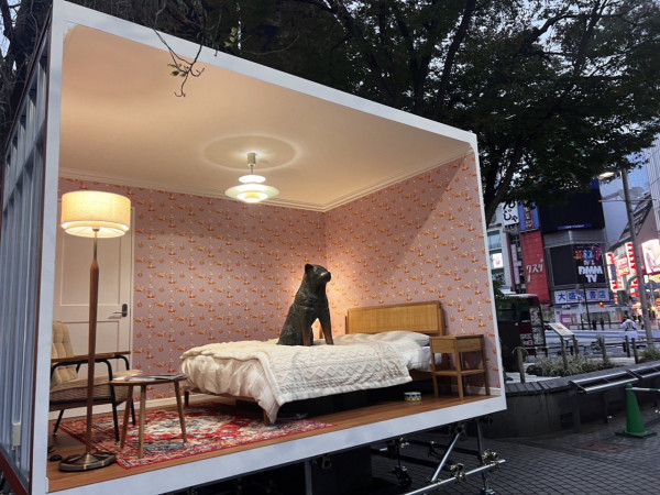 東京澀谷忠犬八公百歲冥壽　入住一日限定睡房稍作休息