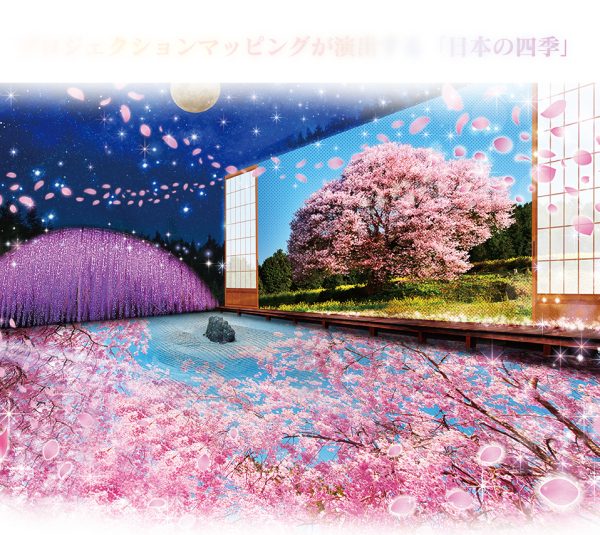 東京足利花卉公園「光之花庭園」夢幻登場！500萬顆LED燈+絕美紫色花海 打卡必去 