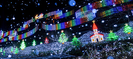 東京足利花卉公園「光之花庭園」夢幻登場！500萬顆LED燈+絕美紫色花海 打卡必去 