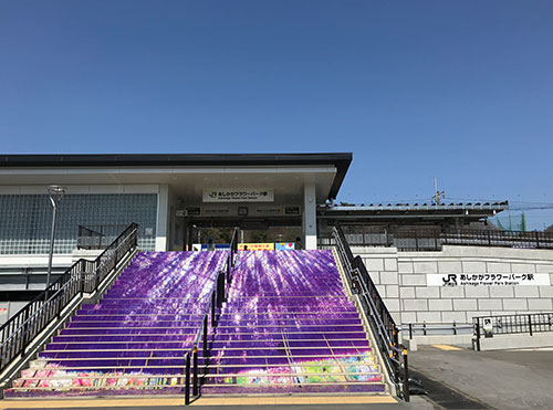 東京足利花卉公園「光之花庭園」夢幻登場!500萬顆LED燈+絕美紫色花海 打卡必去