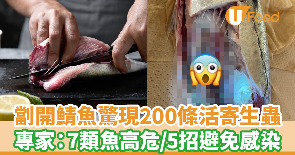 劏開鯖魚驚現200條活寄生蟲 專家：7類魚最高危／5招避免感染