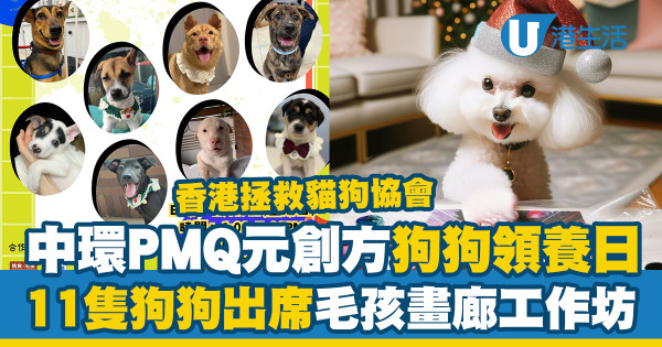 中環PMQ舉辦狗狗領養日　首聯乘香港拯救貓狗協會／11隻狗狗出席